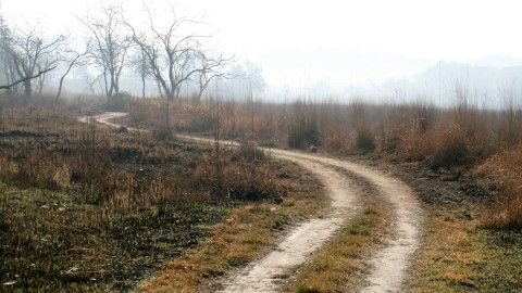 Ramnagar – Wildlife and bird watching at its best!! Rs.4,999 for a Couple Stay with Breakfast and more!!