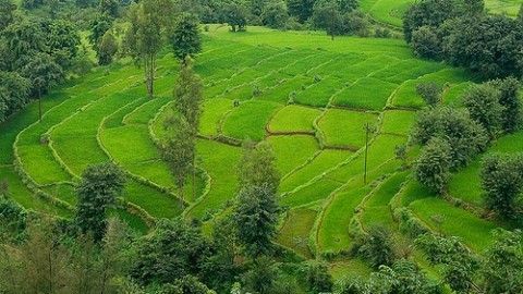 Koynanagar – the ultimate outing heaven!! Rs 1499 for 01 Night stay of two, Breakfast and more!!