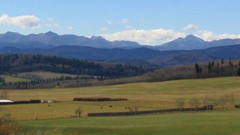 COWTOWN OF CANADA – Calgary