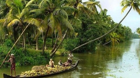 God’s own country: Kerala