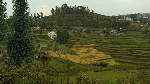 Kodaikanal – Princess of Hill Stations