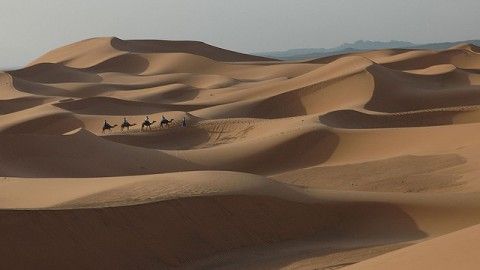 Exploring World’s Hottest Sahara Desert