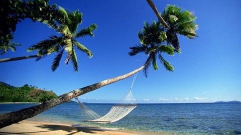 Exploring Goa: Must Do Activites