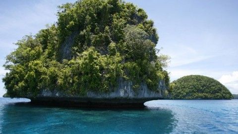 Underwater Expedition At Palau