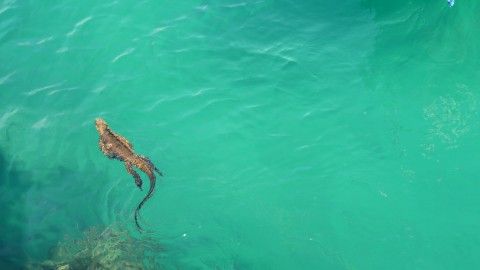 Wildlife Holidays in Galapagos Islands