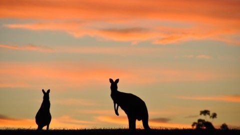 10 reasons which inspires you to pack your bags and head to Australia