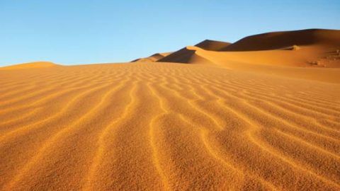 Why visit Sahara Deserts once in a lifetime?
