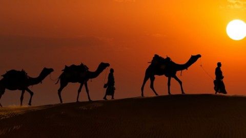 A night under the stars: Thar Desert