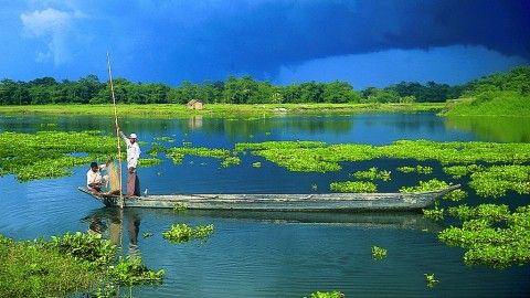 Majuli: The land between two parallel rivers