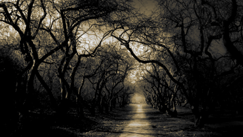 Top 10 Haunted Places in Goa