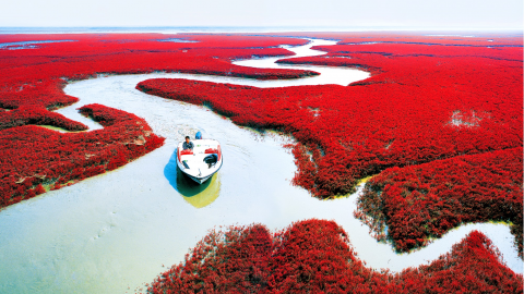 10 most splendid places whose greenery gives earth a more passionate look