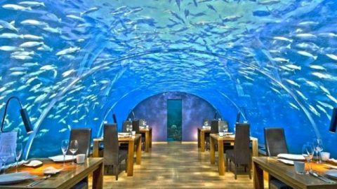 Unique Restaurants in the world