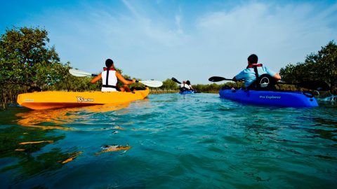 Top Places and Things to do in Abu Dhabi