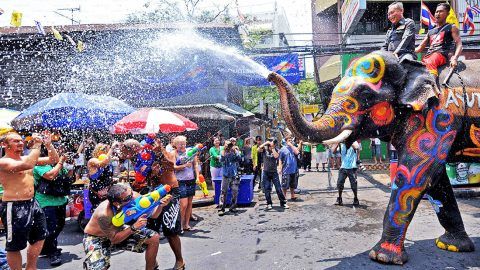 Cultural Festivals Around The World You Must Be a Part of