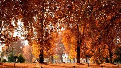 Places to Visit in India During Autumn