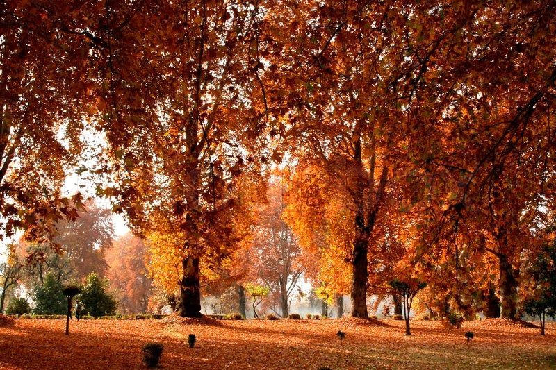 Places to Visit in India During Autumn - Travel Planet