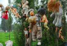 Xochimilco – Island of dolls Isla de la Munecas