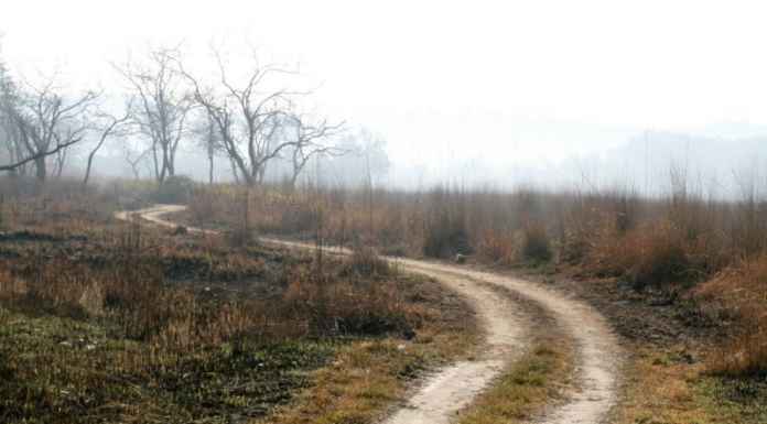 Ramnagar – Wildlife and bird watching at its best! Ramnagar