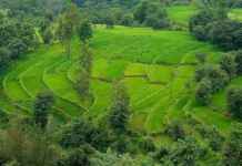 Koynanagar – the ultimate outing heaven!! Rs 1499 for 01 Night stay of two, Breakfast and more!! Koynanagar