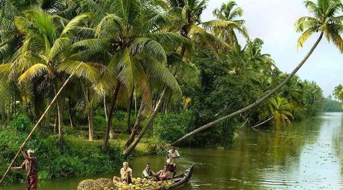 God’s own country: Kerala Kerala