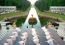 The Wonderful White Night Festival white night festival