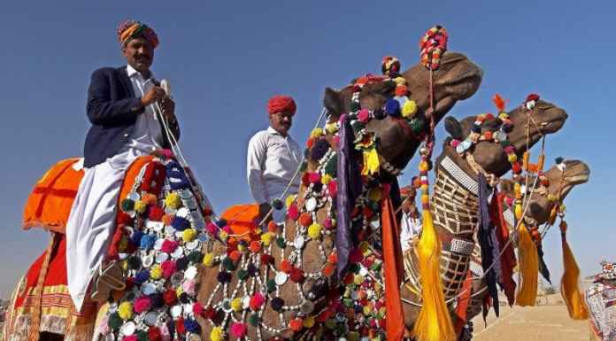 Jaisalmer Desert Festival Jaisalmer Desert Festival