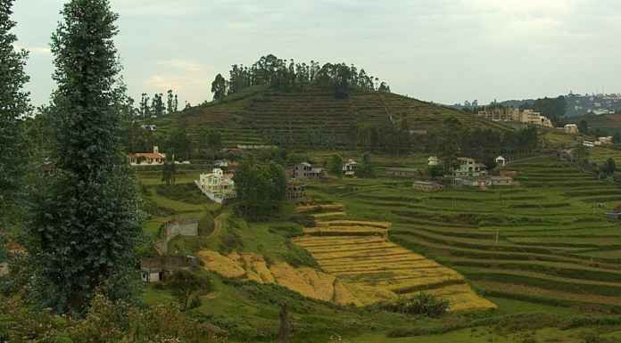 Kodaikanal – Princess of Hill Stations Kodaikanal