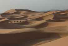 Exploring World’s Hottest Sahara Desert Exploring World’s Hottest Sahara Desert