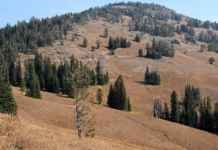 Yellowstone National Park: World’s First National Park Yellowstone National Park: World's First National Park