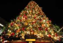 Merry Christmas Merry Christmas