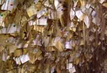 The Strange Avanos Hair Museum Hair Museum of Avanos