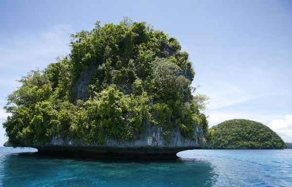 Underwater Expedition At Palau Underwater Expedition At Palau