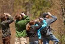 Team Outing Essentials Team Outing