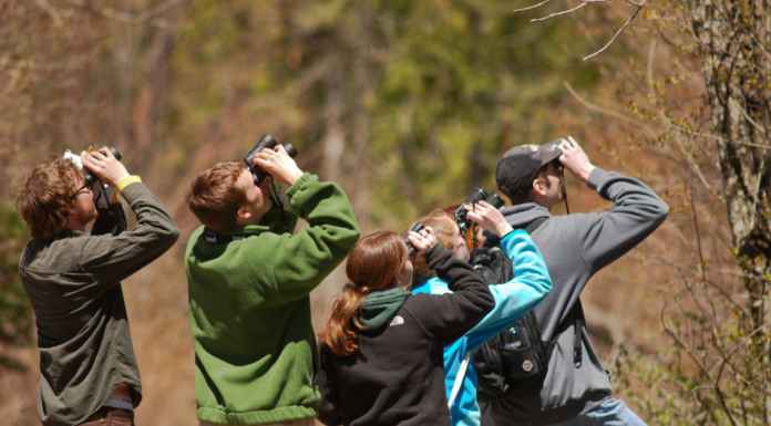 Team Outing Essentials Team Outing