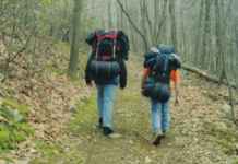 Want to Travel With a Full Time Job? Here are the tips + tricks Travel With a Full Time Job