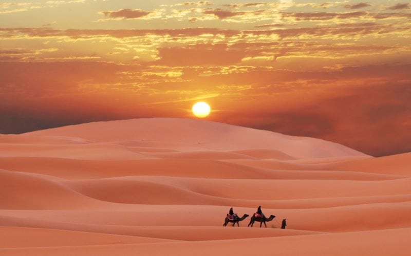 Sahara Desert Sunset