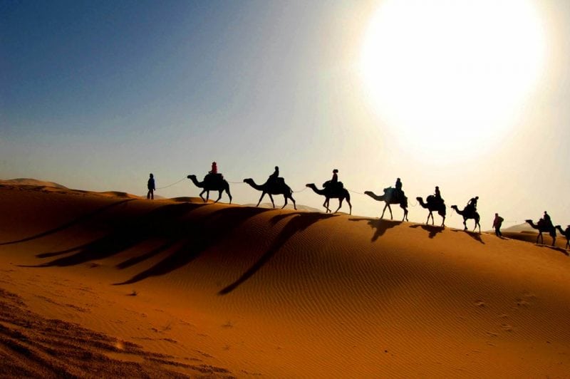 Camel Ride