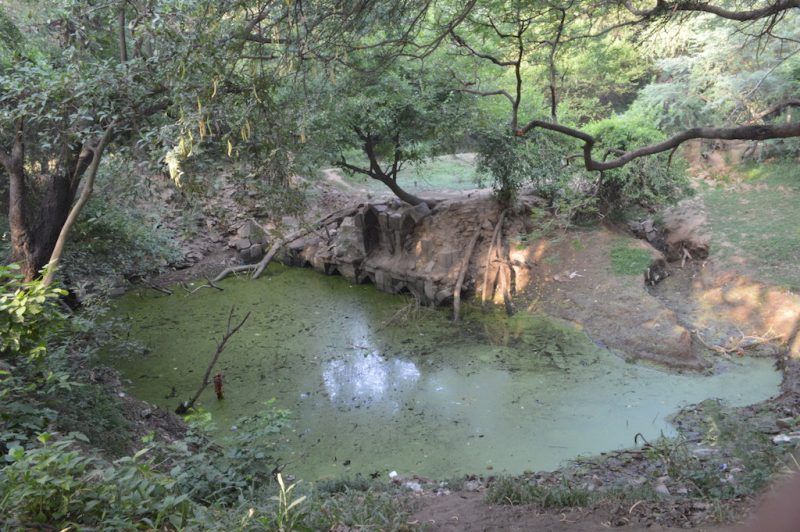 SANJAY VAN