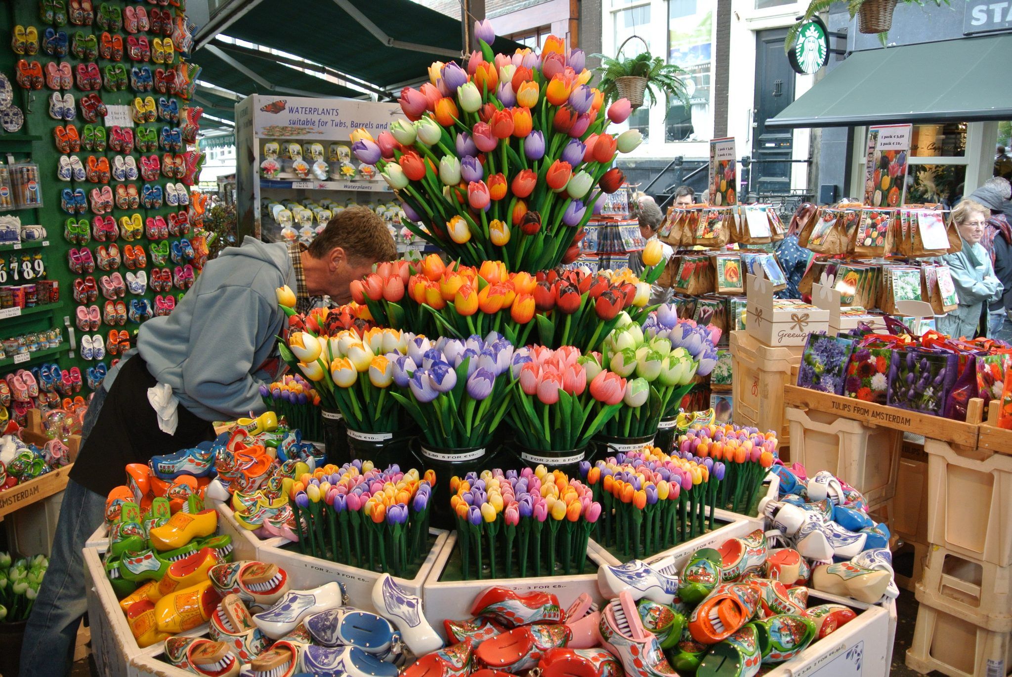 amsterdam tulips