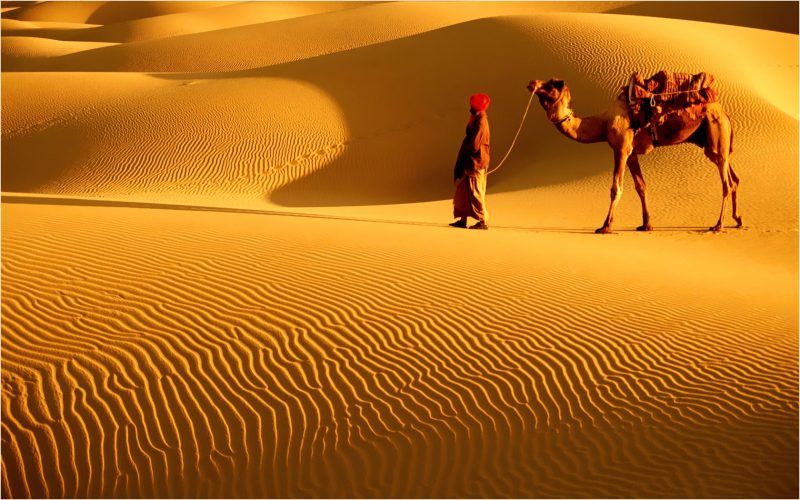 Thar desert