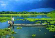 Majuli: The land between two parallel rivers Majuli Island