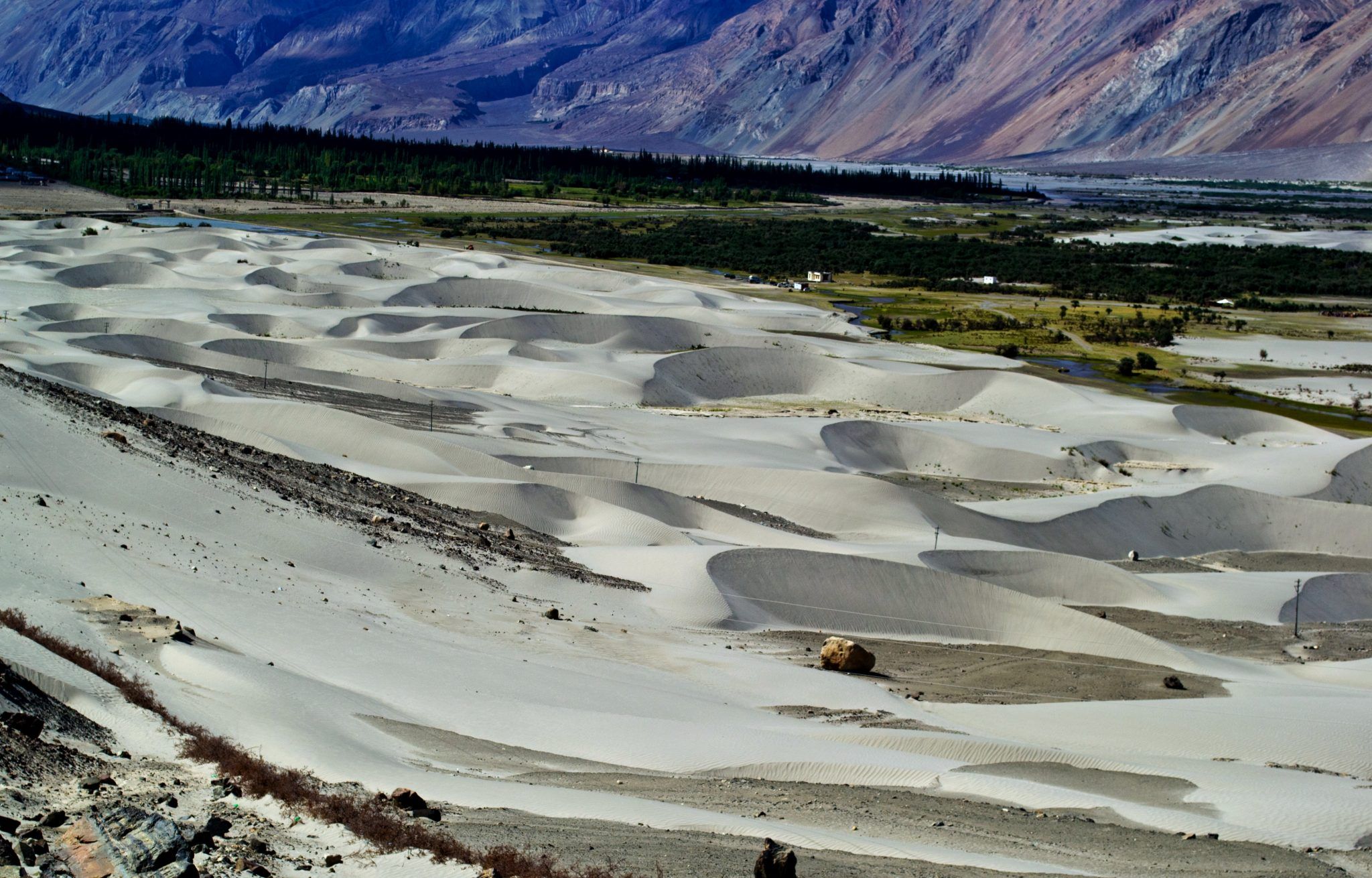 Nubra Sand Dunes