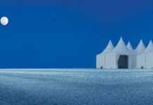 Rann of Kutch: the land of white sand