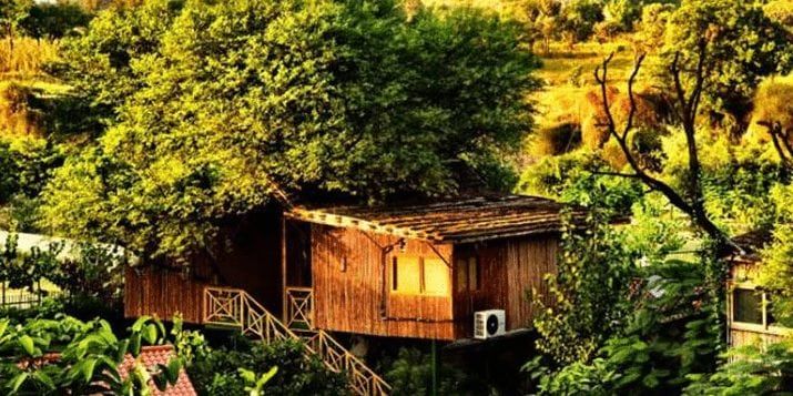 THE TREE HOUSE RESORT  JAIPUR