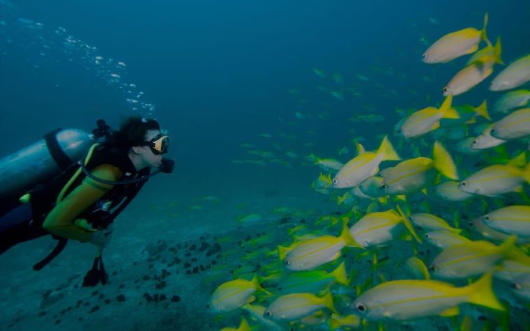 SCUBA DIVING IN ANDAMAN