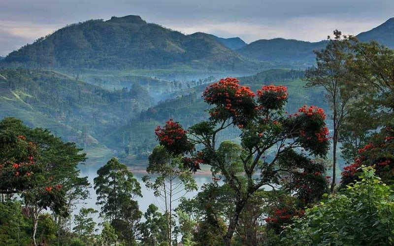 sri-lanka