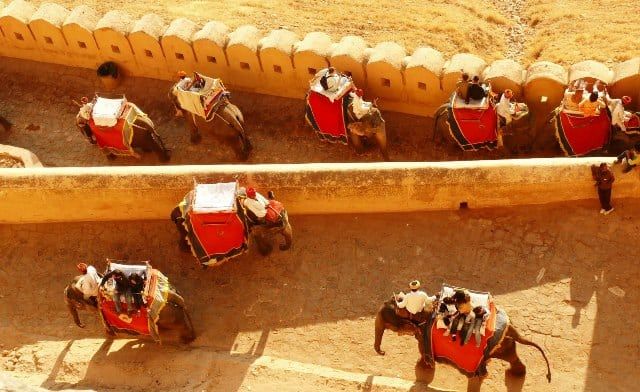 Amber-Fort-Elephant-Ride-Jaipur