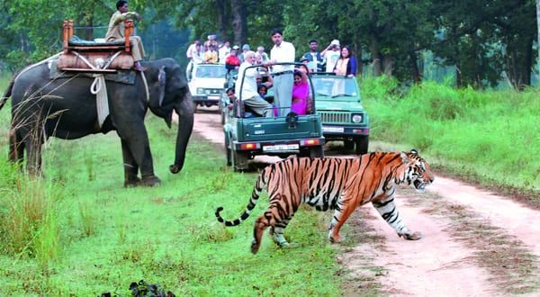 Jim Corbett National Park