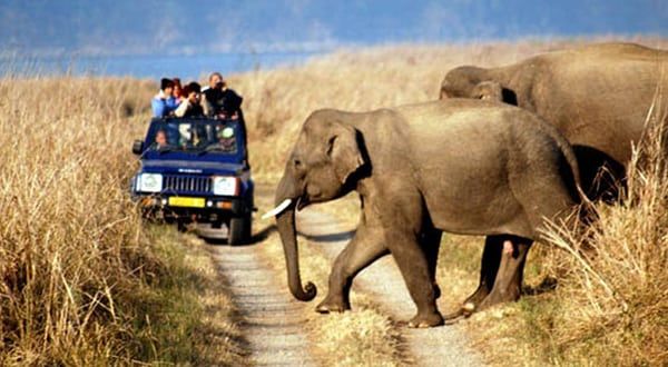 Sariska National Park