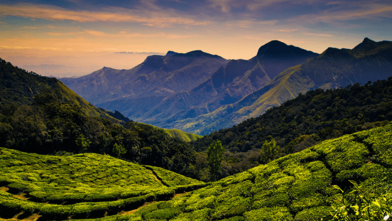 kodaikanal